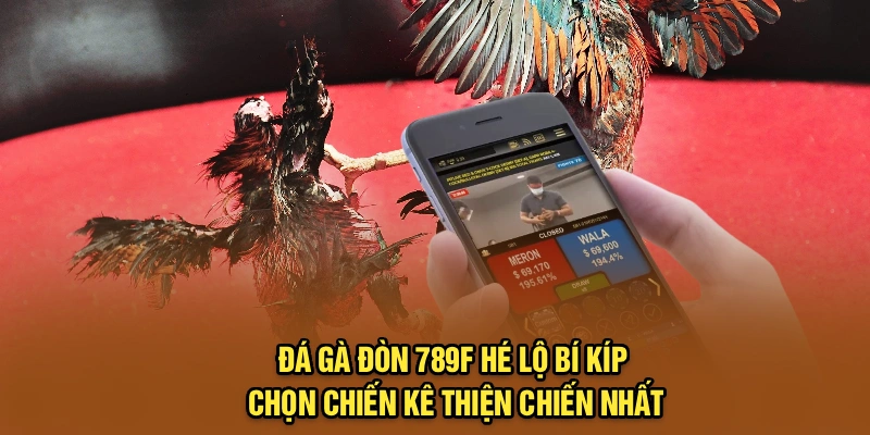 Đá Gà Đòn – 789F Hé Lộ Bí Kíp Chọn Chiến Kê Thiện Chiến Nhất